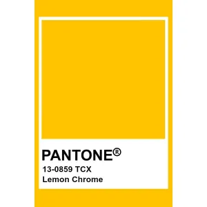 Adult's Lemon Chrome Baggy Pants