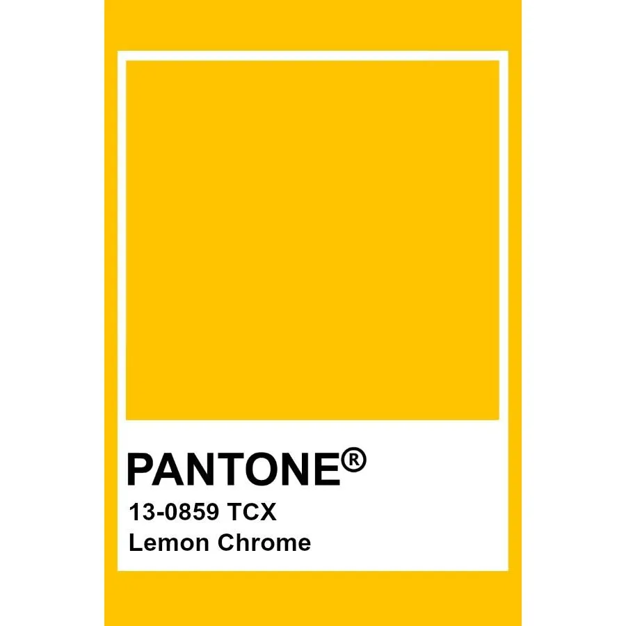 Adult's Lemon Chrome Baggy Pants