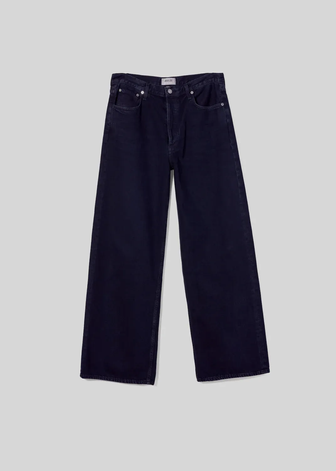 Agolde Low Slung Baggy Jean