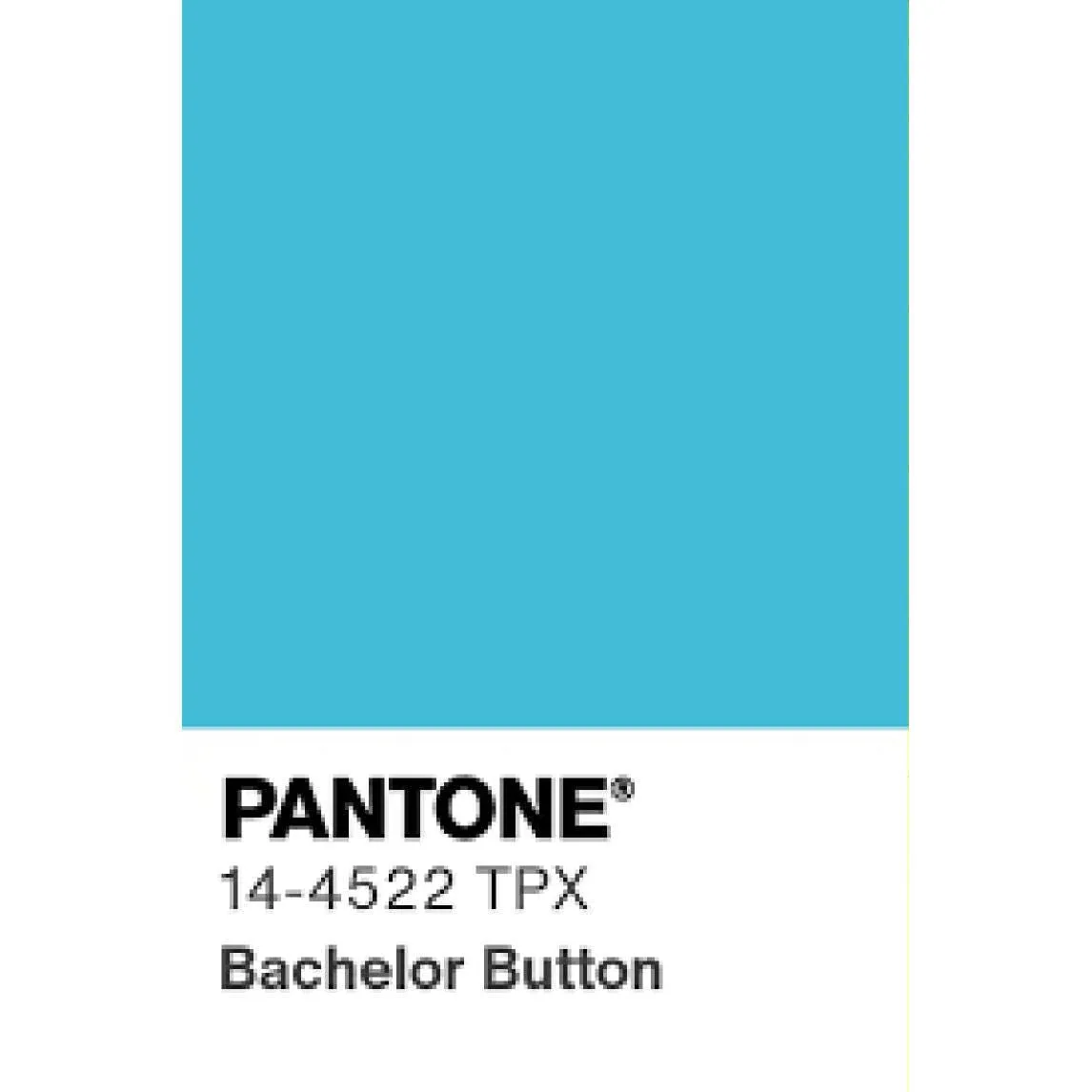 Bachelor Button Blue Baggy Pants