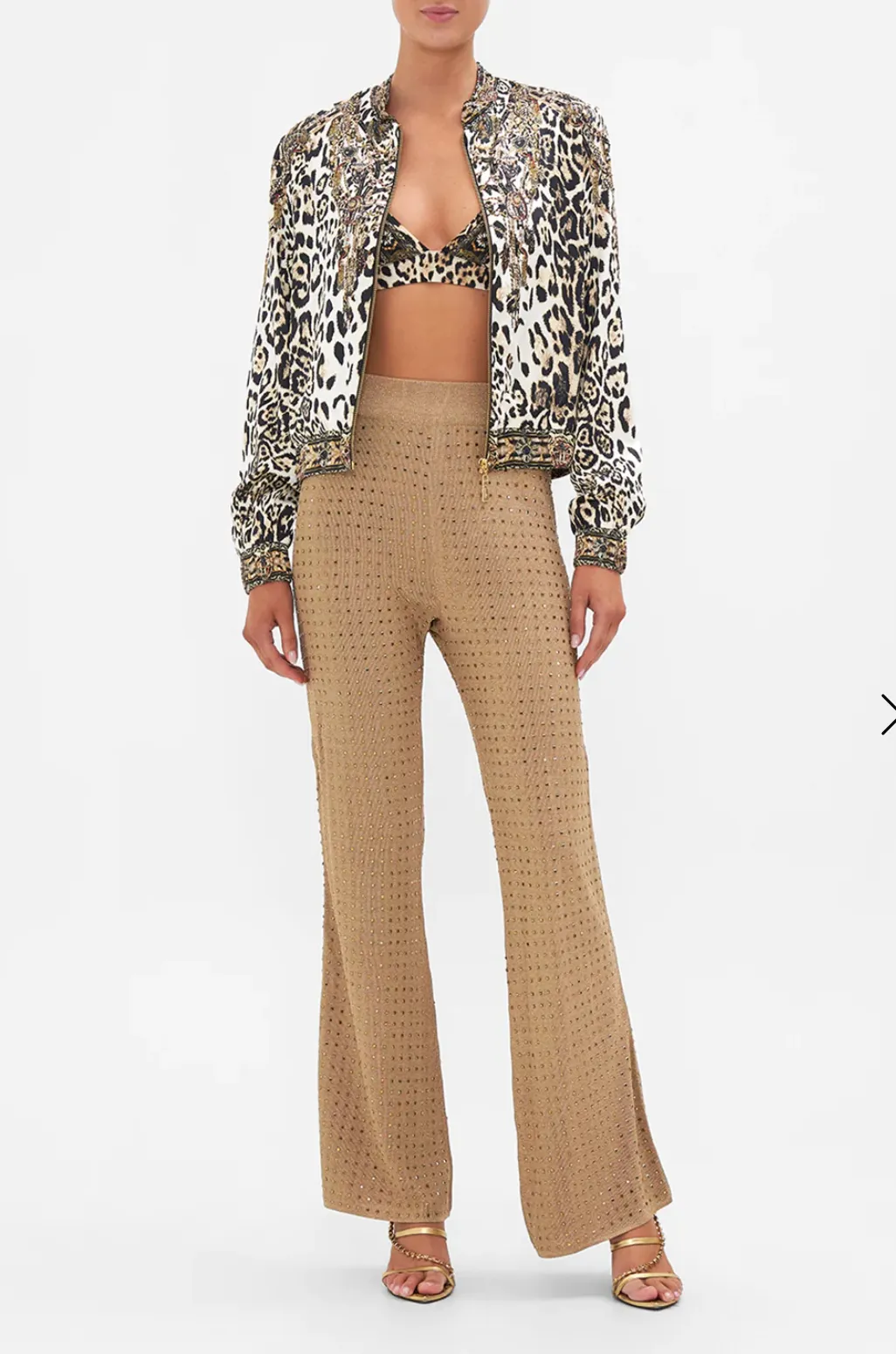 Bomber Jacket Cool For Cats