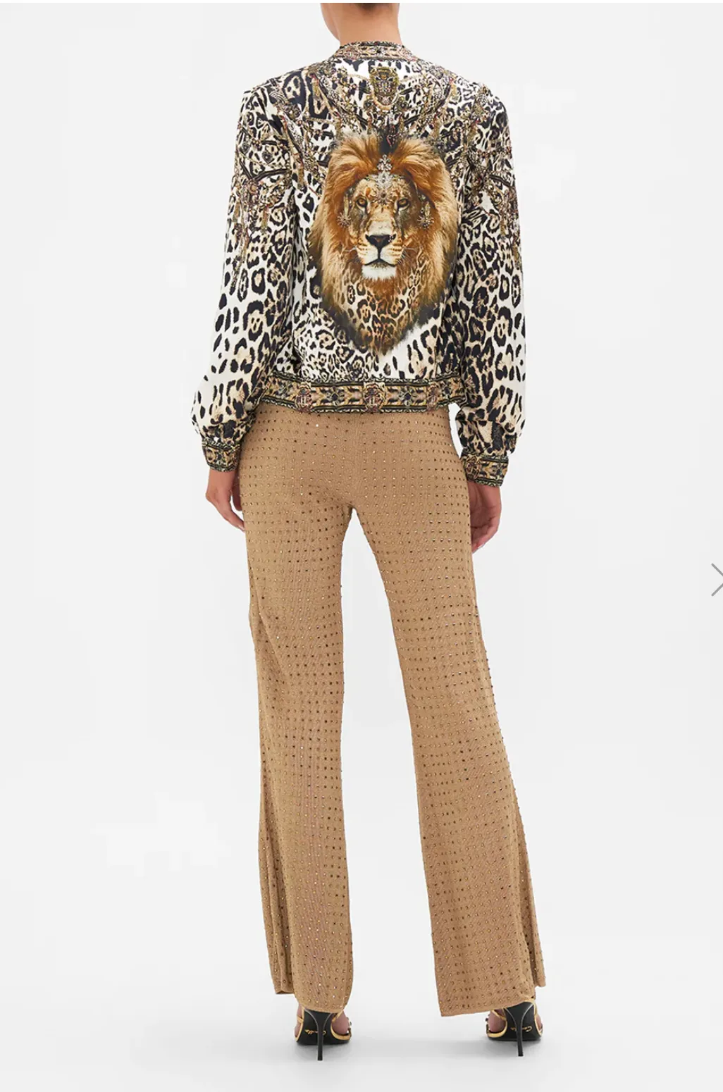 Bomber Jacket Cool For Cats