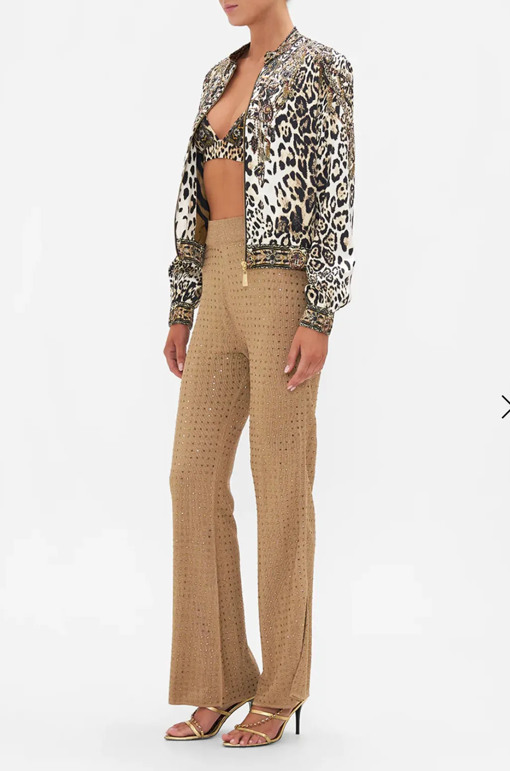 Bomber Jacket Cool For Cats