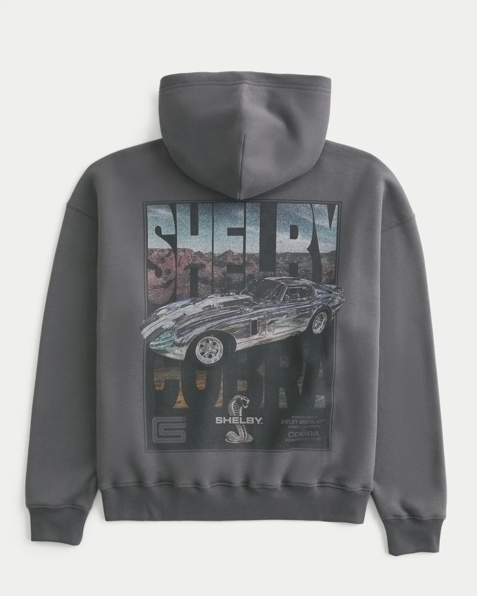 Boxy Dodge Charger Graphic Hoodie