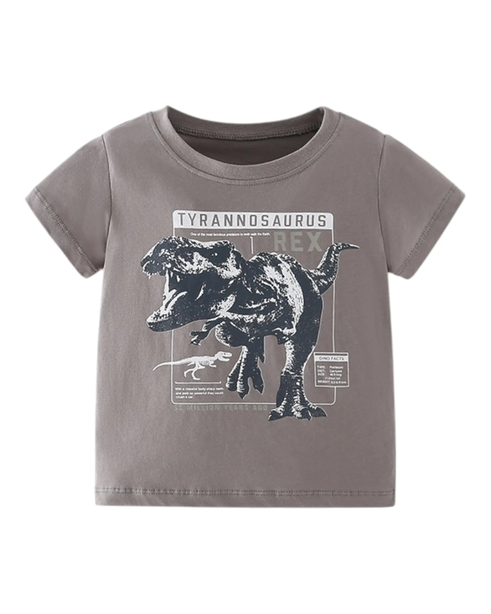 Boys T-Shirts with Graphic Design