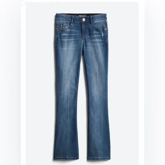 DEMOCRACYKathryn Ab Solution Itty Bitty Bootcut Distressed Jean