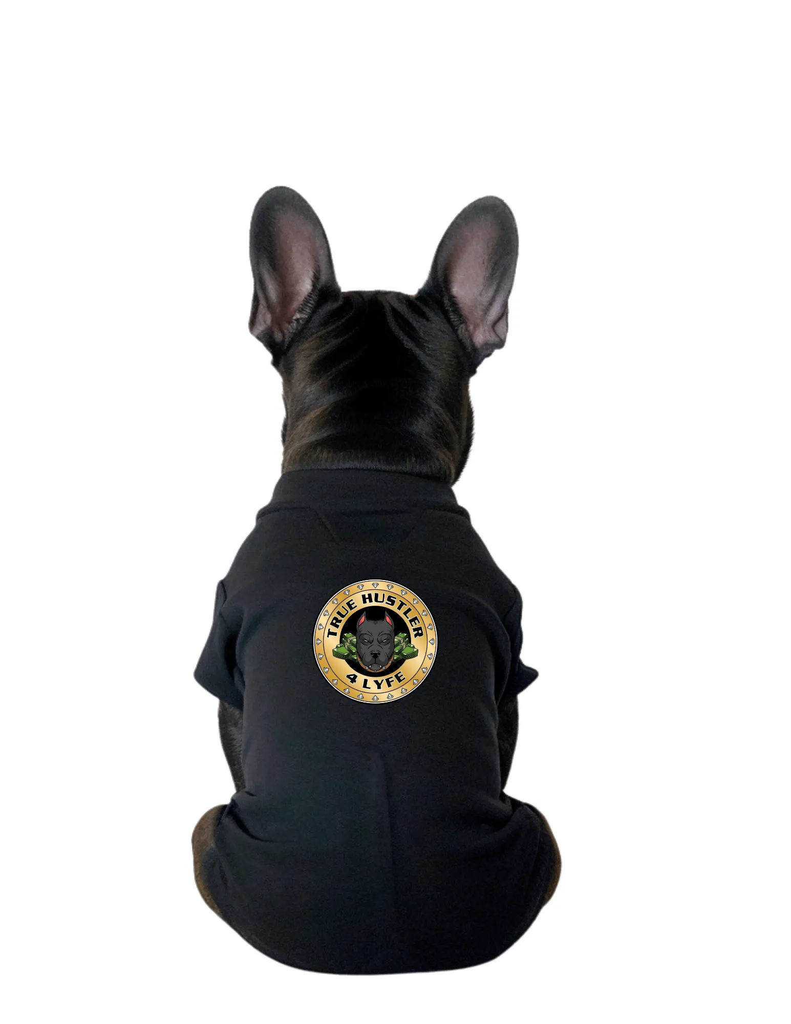 Grind Paws Hoodie Collection – Matching Dog & Owner Edition