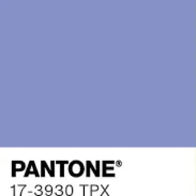 Jacaranda Purple Baggy Pants