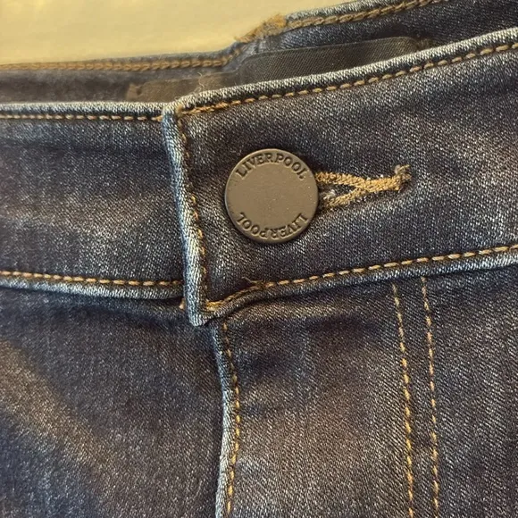 Liverpool - skinny jeans - size 16. Dunmore Dark