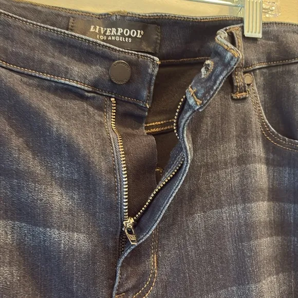 Liverpool - skinny jeans - size 16. Dunmore Dark