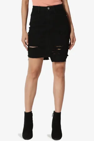 Nyssa Distressed Denim Skirt