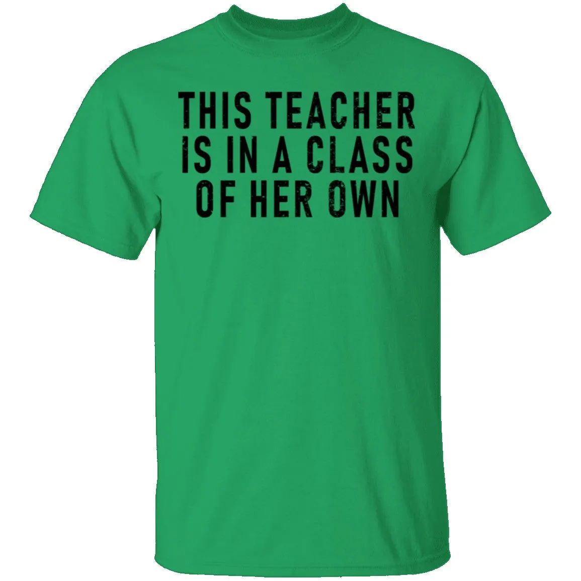 This Teacher Is In A Class Of Her Own T-Shirt