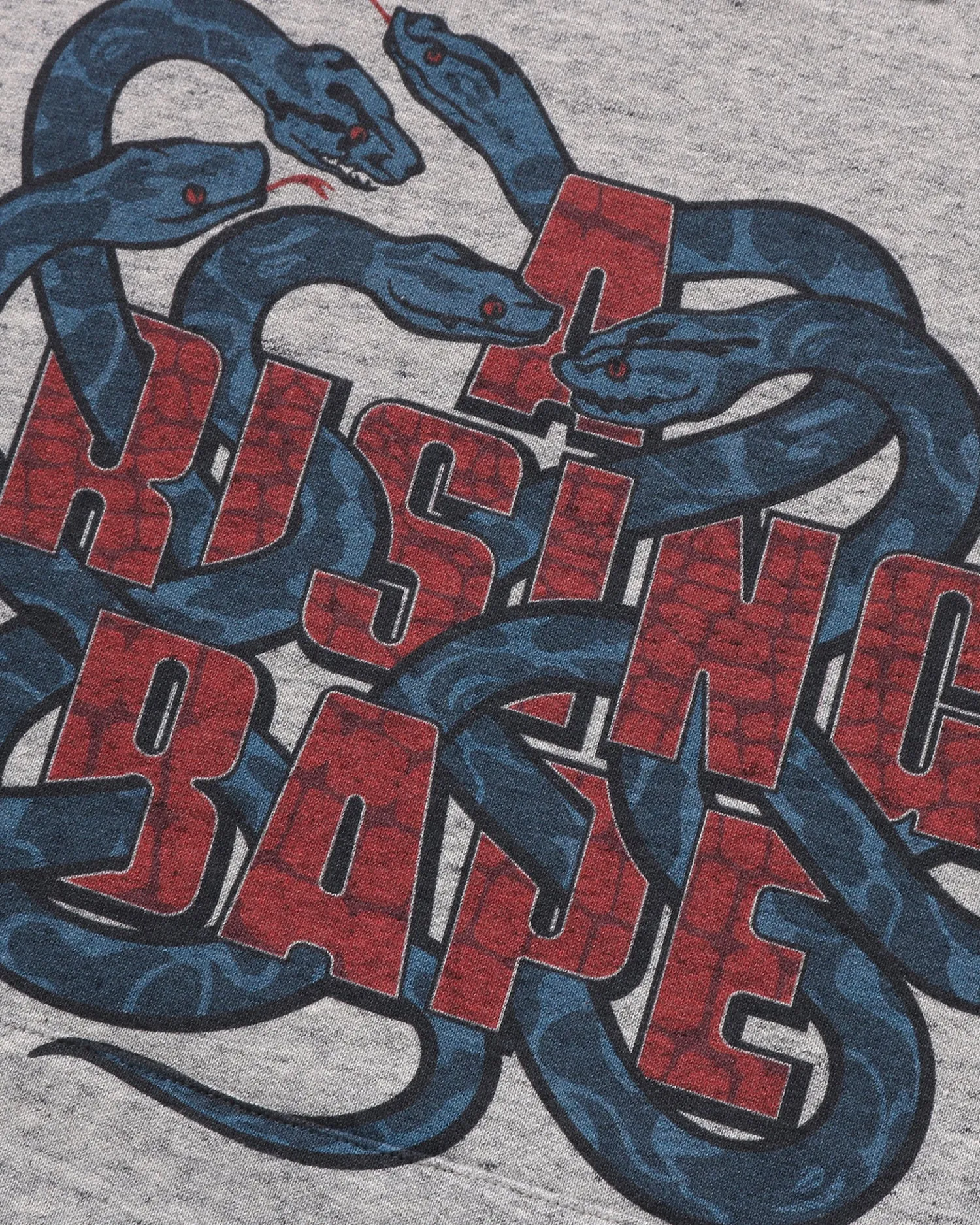 Year of Snake Pullover Hoodie